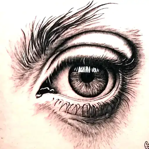 Close Up Of A Horse Eye