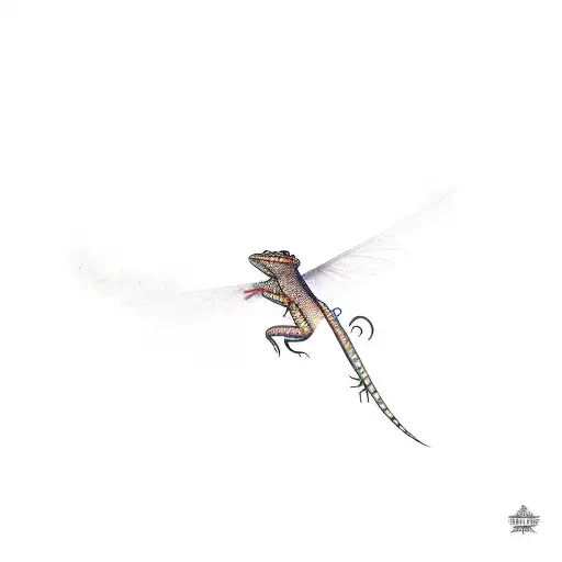 A Lizard Flying In The Dark