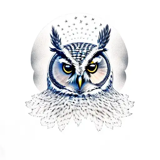 Owl With Stars