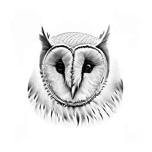 Barn Owl In Wheat Field