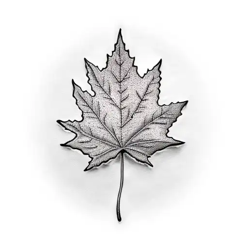 Maple Leaf