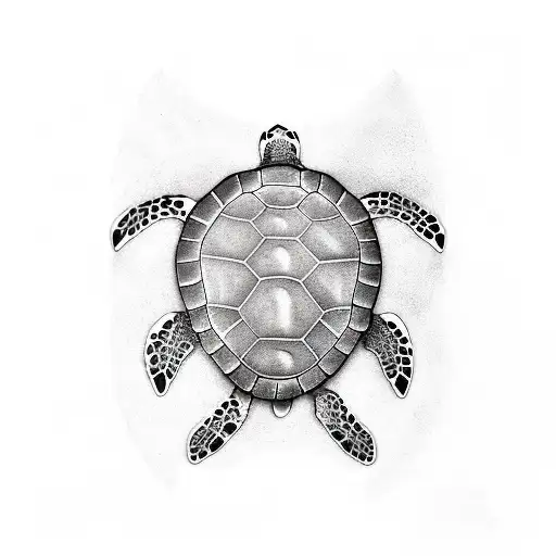 Scubadiving With Turtle