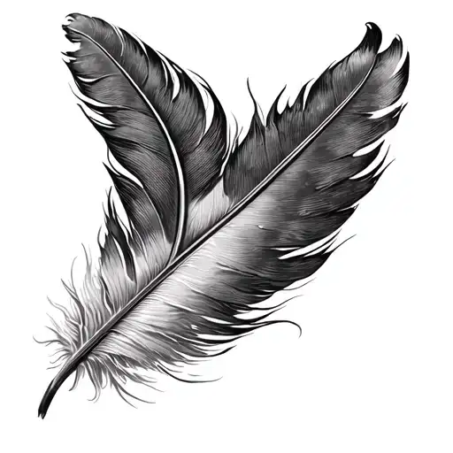 Delicate Feather Symbol Of Freedom