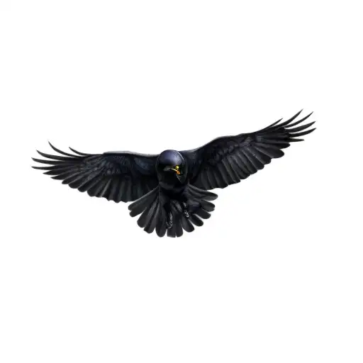 A Raven