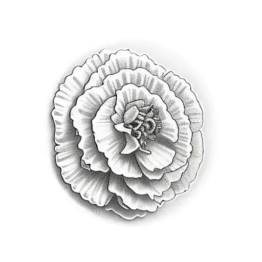 Dog In A Frame Of Carnations