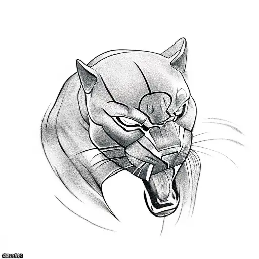 Black Panther Mixed Martial Arts