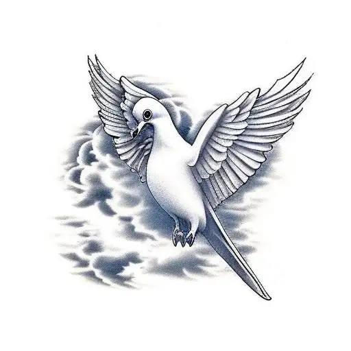 Dove With Clouds