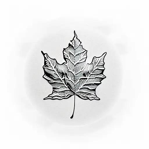 Vinyl Record Maple Leaf In Center Music Notes