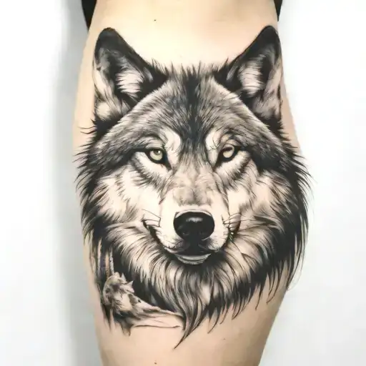 Wolf
