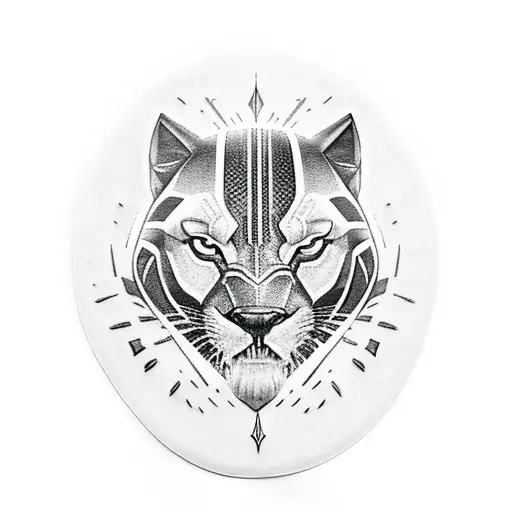 Black Panther On A Rock