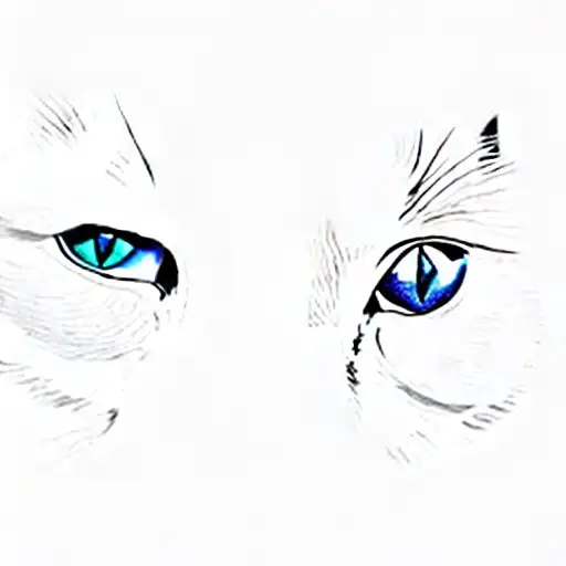 The Eyes Of A Cat