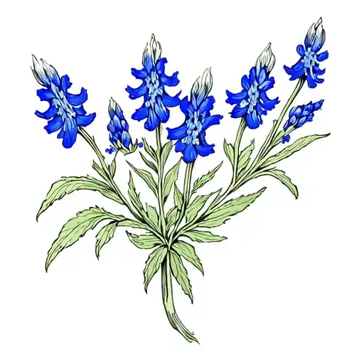 Texas Bluebonnets