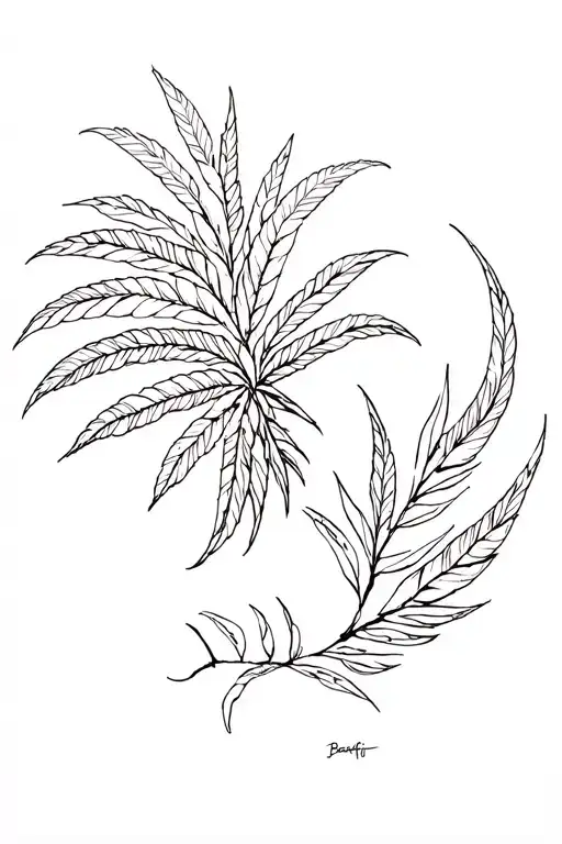 Pacific Coast First Nations Nature Elements