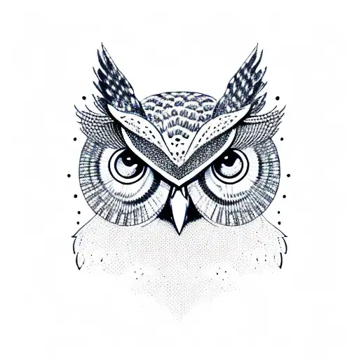 Owl With Universe