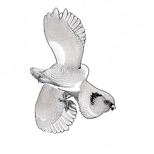 A White Stuffed Bird