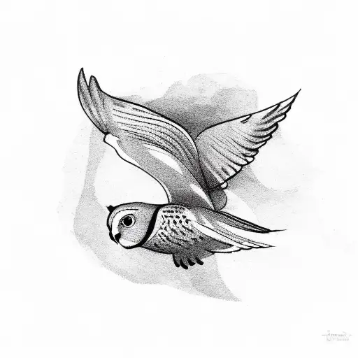 A Dove And An Owl Flying In Opposite Directions
