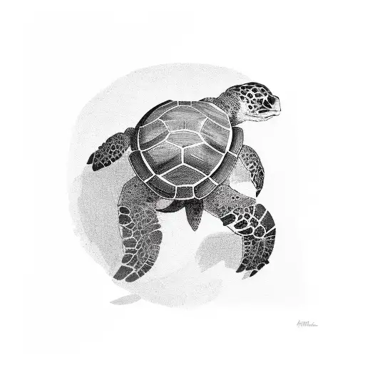 Turtle Standing With Arm Around A 76Mm Shell Casing