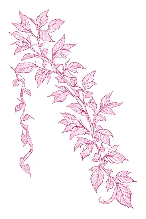 Pink Vine