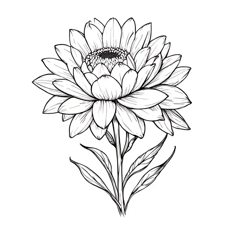 Dahlias Tulips And Daisies