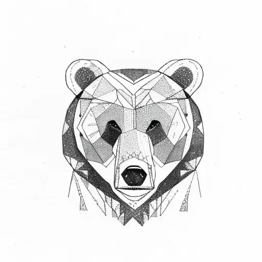 Bear Coming From The Woods