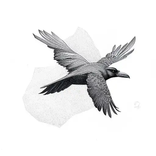 Small Raven Flying