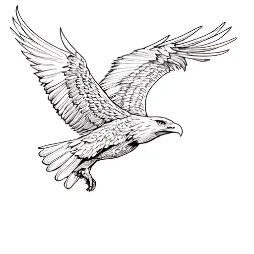Traditional Eagle Soaring