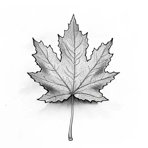 Maple Leaf