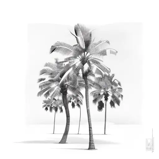 Palm Tree