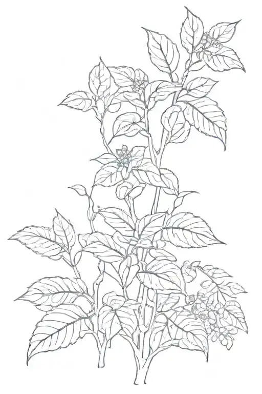 Nature Plant Growing