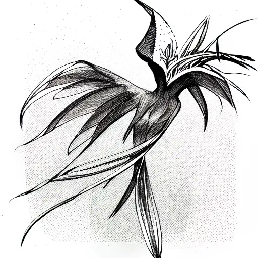 Bird Of Paradise