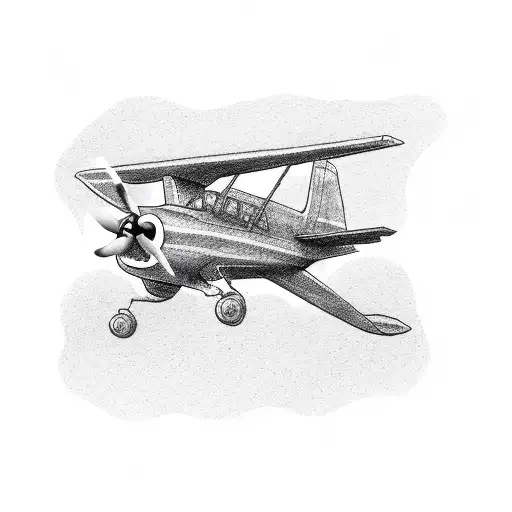 Airplane With Camera Man