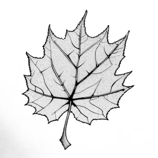 Plane Tree Leaf On A Patch Of Rich Soil