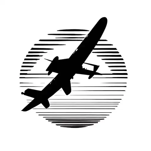 Airplane Flying Towards A Setting