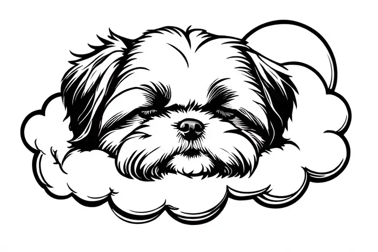 Shih Tzu Sleeping On Cloud