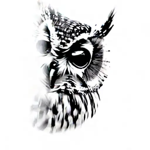 A Tribal Tattoo Boruca Owl Face