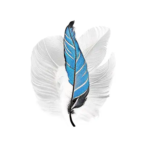 Black And White And Blue Feather