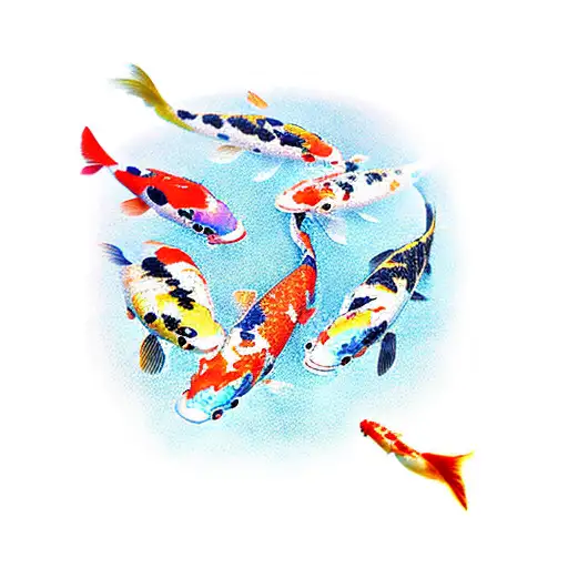 Koi Fish Swimming In Sunflowers