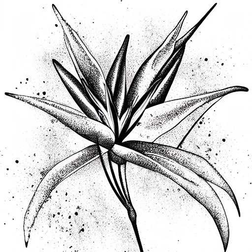 Bird Of Paradise Plant