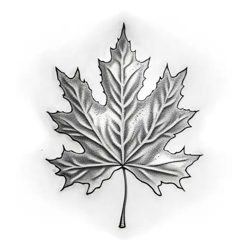 Maple Leaf