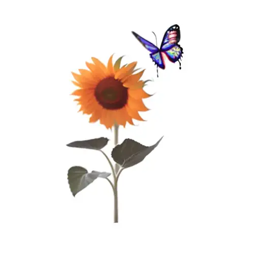 A Sunflower And A Butterfly With Sonny Underneath
