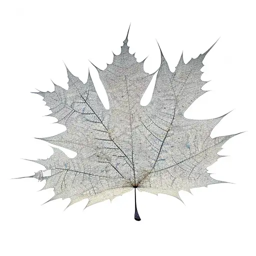 No Leaf Tree With 4 Branches Bending Right