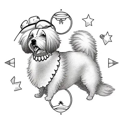 A Fluffy Dog Dancing In A Circle With Other Fluffy Dogs