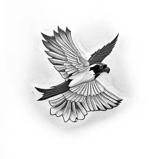 Black And White Magpie Flying Over Carrick On Suir In Tipperary