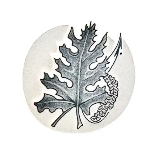 Quercus Palustris Leaf