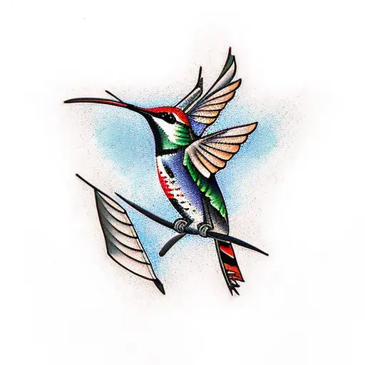 Native American Hummingbirds