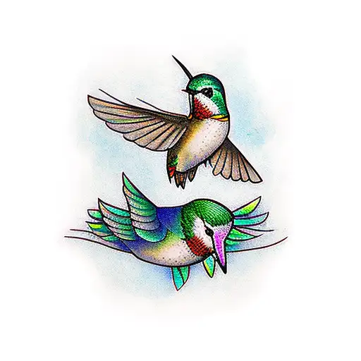 Human And A Hummingbird