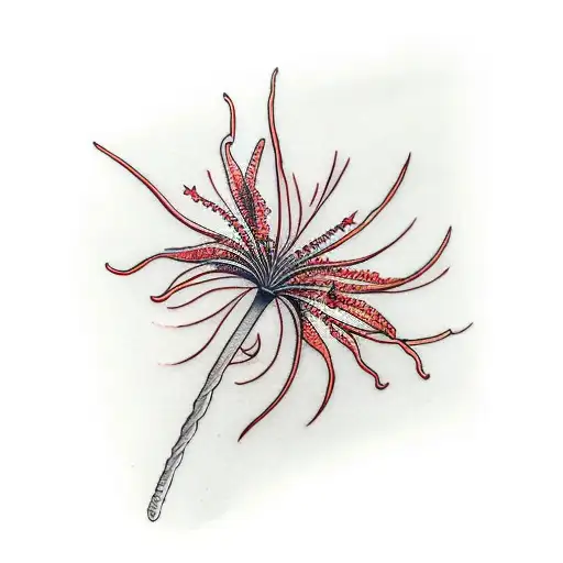 Red Spider Lily With A Date Next To It