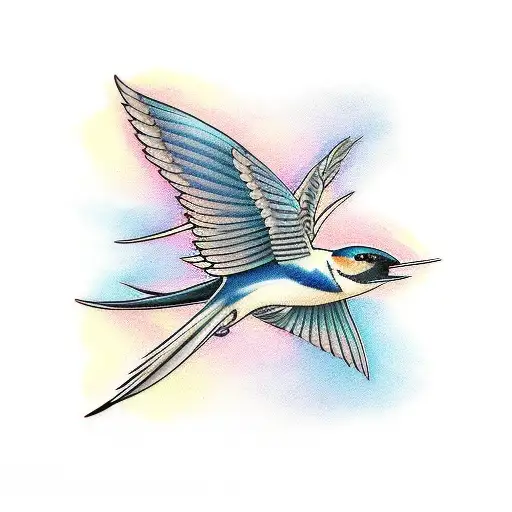 Swallow Bird