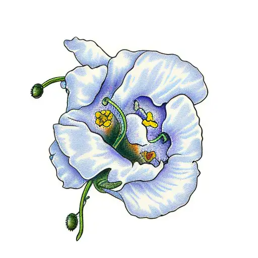 Capricorn Mums Sweet Peas Morning Glory Poppy