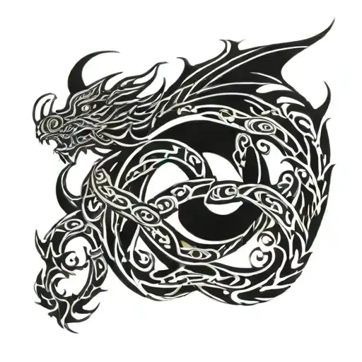 Dragon In The Shape Of Infinity Sign